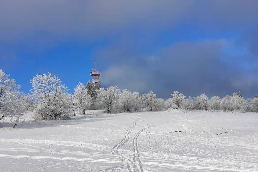 Вілла Tiny Treperka Семіли Екстер'єр фото